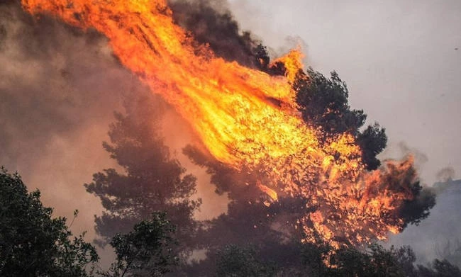 Μεγάλη φωτιά ανάμεσα σε Άραξο και Μετόχι – Φόβοι για το δάσος της Στροφυλιάς